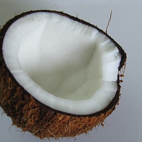 코코넛